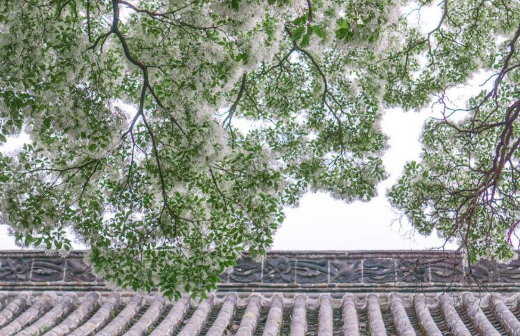 关于骨气的名言