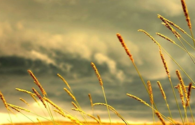 五一节前心情语句文案