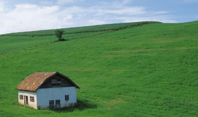 看草原的感慨经典语录文案