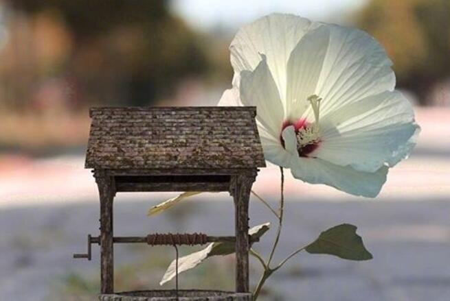 一个人的早安说说文案