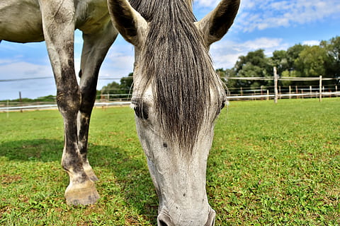 不能在一起的遗憾文案