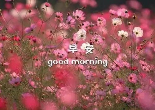 跟女孩子说早安的句子文案