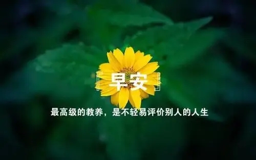 早安幽默句子文案说说心情短语