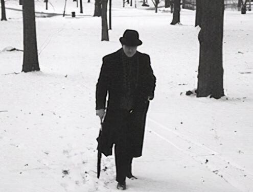 木心最有灵气的一句话