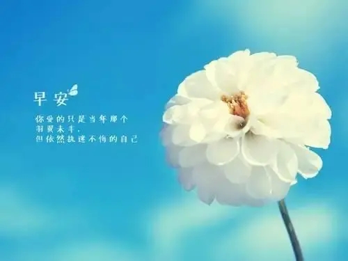 2024年最新的早安句子文案