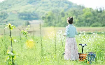 描写夏天的优美句子文案摘抄初中
