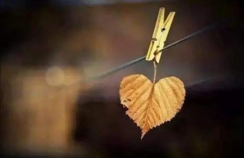 人到中年的感悟绝句