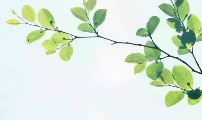 夏季关心问候短信