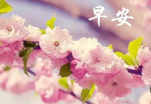 对爱人说早安的情话文案