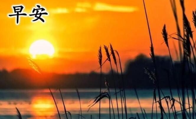 2024早上好问候语图片