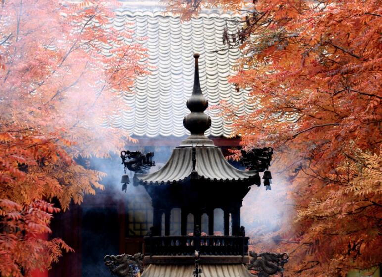 佛说奋斗的句子文案