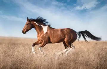 古代悲伤五字短语