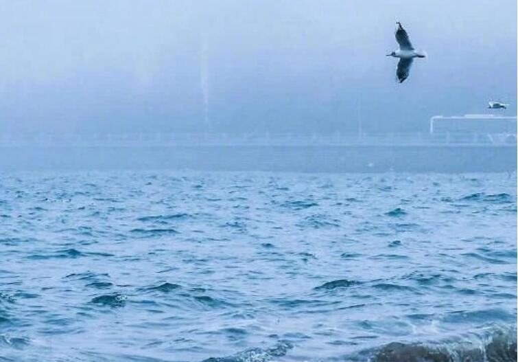 有海字的个性签名