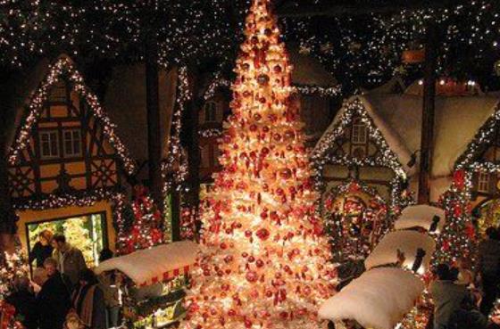 圣诞节发的朋友圈幽默