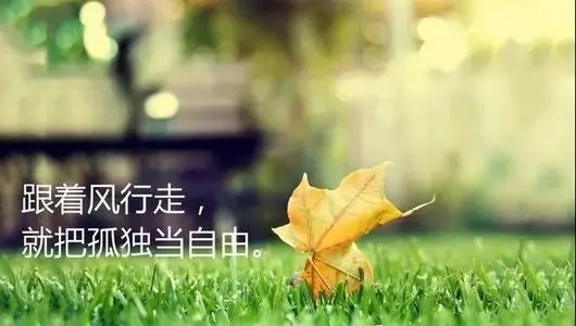 温柔优雅的经典句子文案