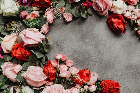 表白情话的句子文案