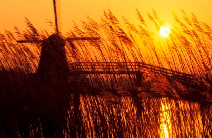 得到客户的肯定的句子文案