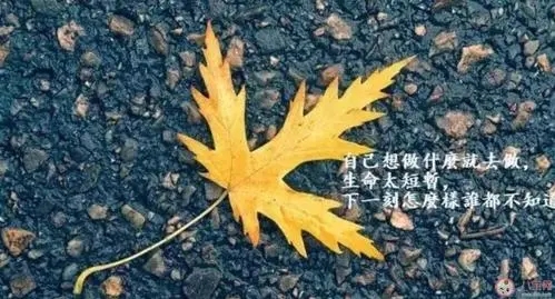 夜晚发朋友圈的说说文案