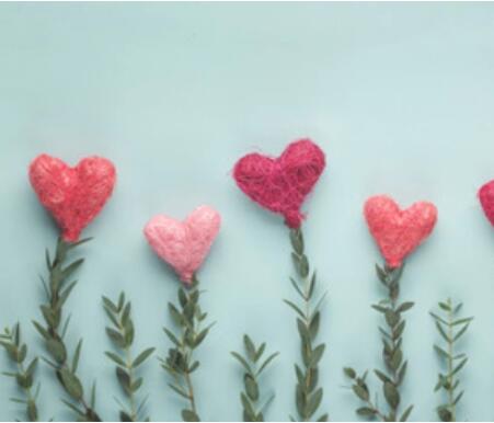 从来没有过情人节的说说文案