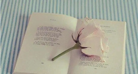 心情淡淡忧伤的短语