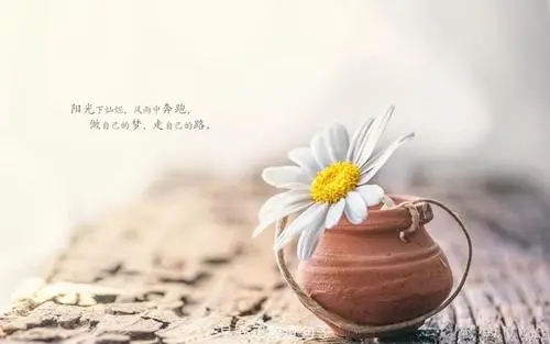 朋友不珍惜谁伤心句子文案