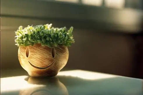 异地恋坚持暖心的说说文案