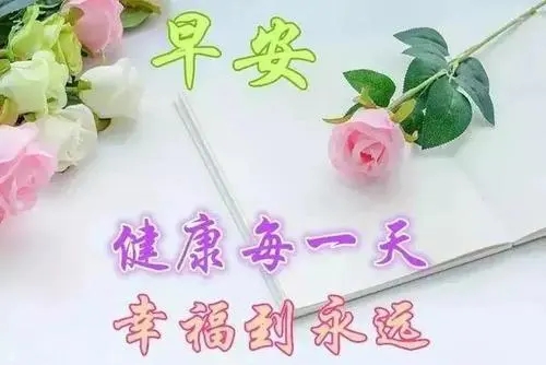 每日的问候语大全