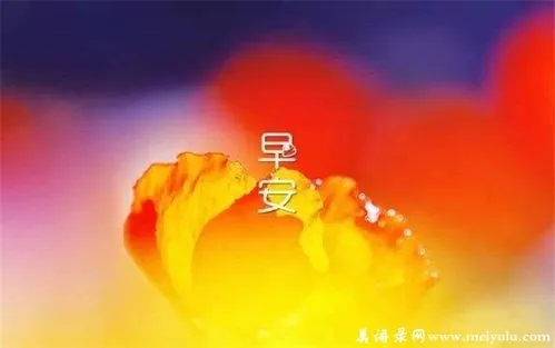 今天早安最新的早安句子文案