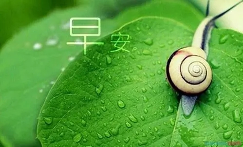 搞笑充满正能量的句子文案