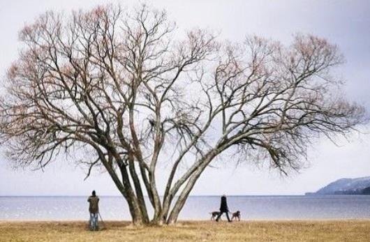 人生最经典的话