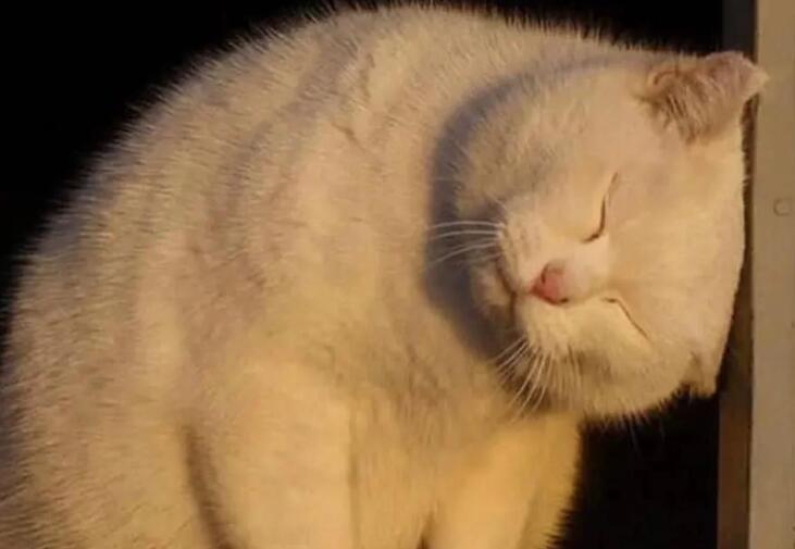 描写工作态度认真的句子文案