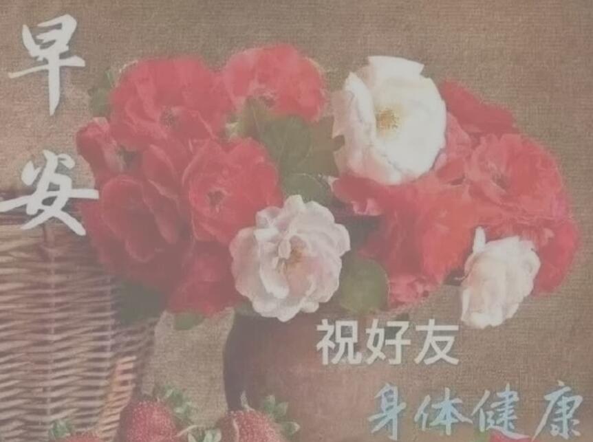 星期三问候语及关心话客户