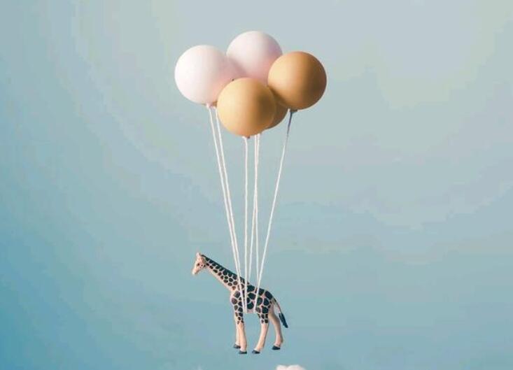 早安创业励志的句子文案