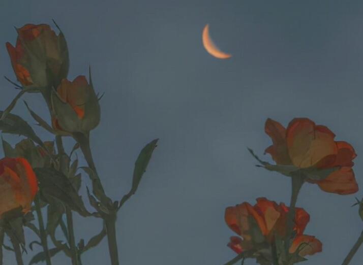 活好后半生的经典语录文案