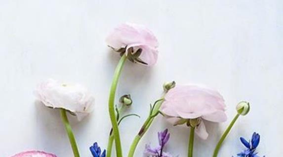 2021早上好图片最新问候语