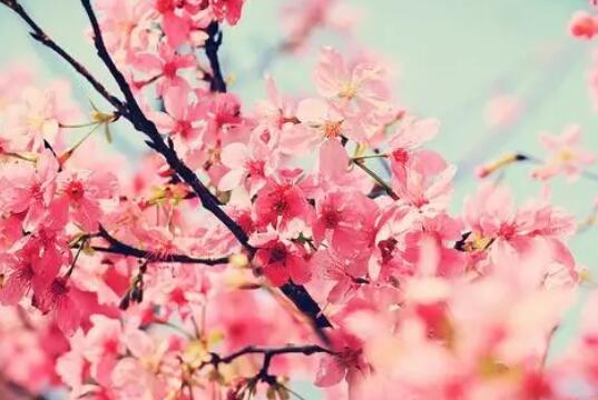 劝解消气的句子文案