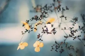 晚安心语正能量短句