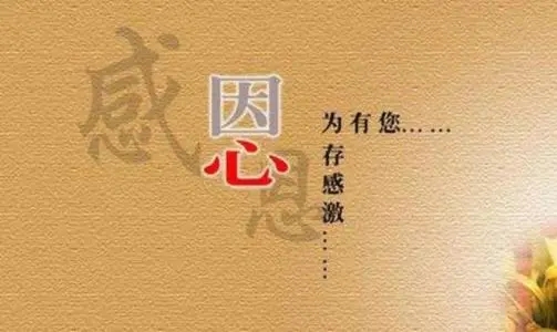 感谢别人帮了大忙的话