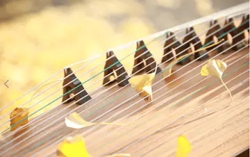 古筝的唯美语录文案