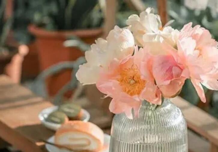 个人宣言励志座右铭