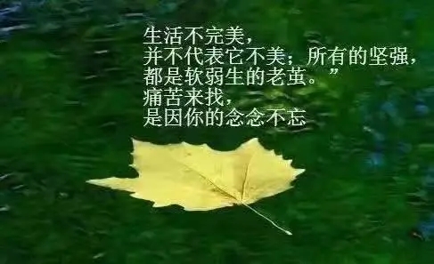 品人生的句子文案