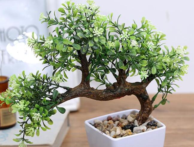 养花的搞笑文案