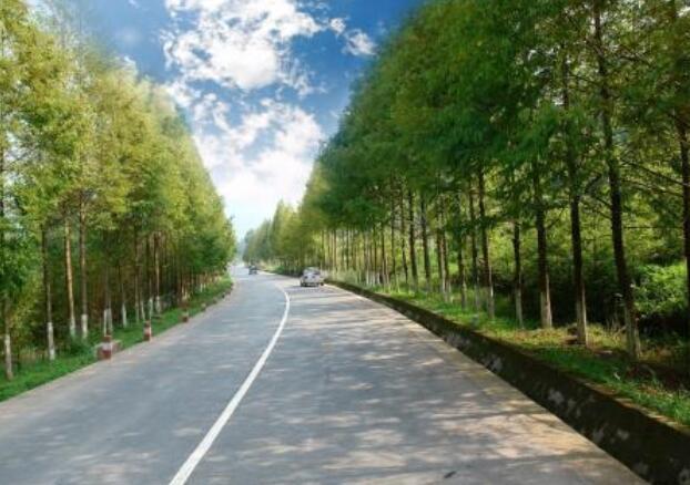 关于路的哲理句子文案名人