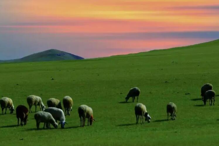 内蒙古旅游朋友圈文案