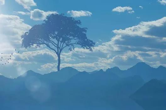 著名女作家名言优美句子文案