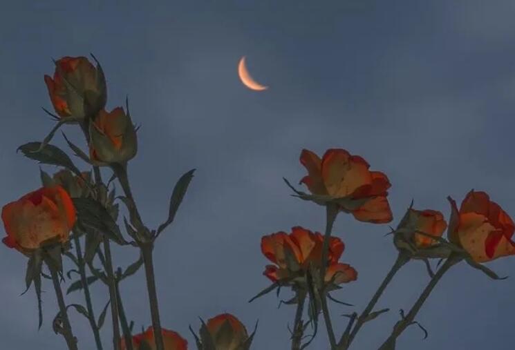 写进作文里的神仙句子文案短句