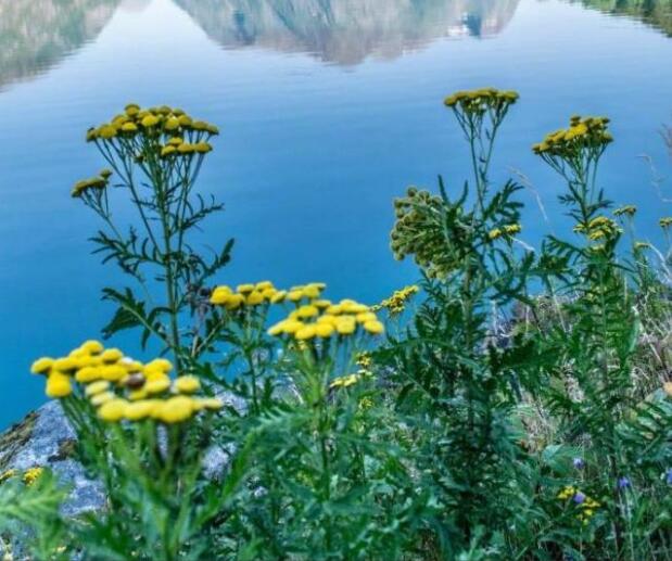 佛教励志正能量的句子文案