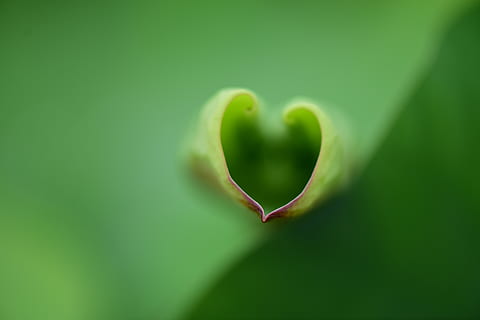 婚礼美好的短句