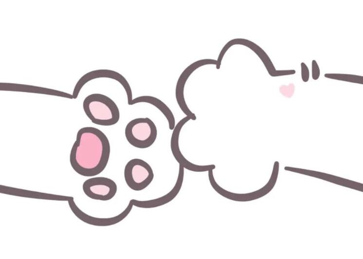 抖音加微信的文案