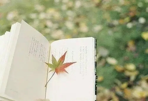 生活感悟简短语句文案